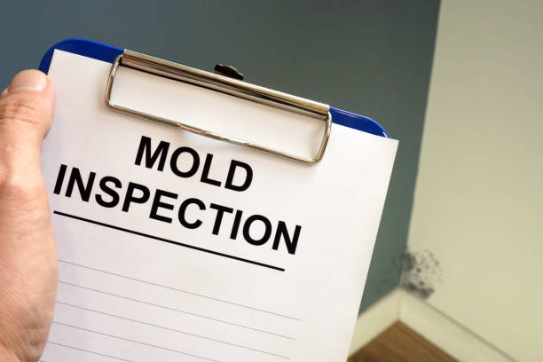 Best Comprehensive Air Testing for Mold Contaminants  in Clifton Forge, VA